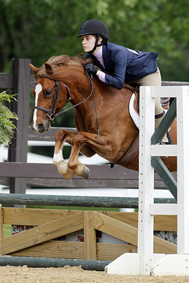 horse with rider