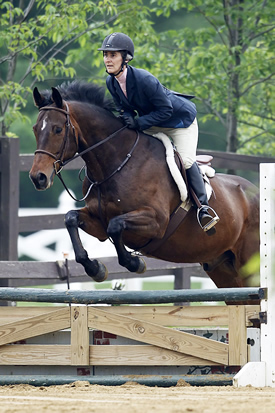 horse jumping with rider