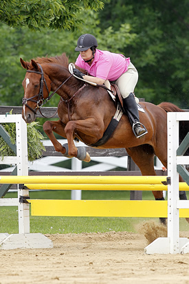 horse jumping with rider