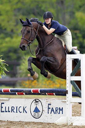 horse jumping