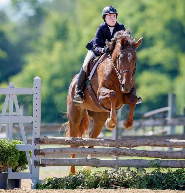 Ellrick Farm Is A Full-Care Horse Boarding Facility, Offering Riding Lessons For Beginning Riders And Advanced Equestrians