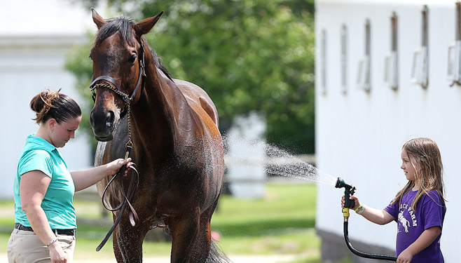 Ellrick Farm Is A Full-Care Horse Boarding Facility, Offering Riding Lessons For Beginning Riders And Advanced Equestrians